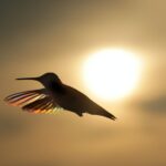 ramona-edwards-TyW3S-7cNyw-unsplash